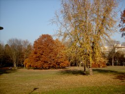 2003-11-10_Kleiner_Park